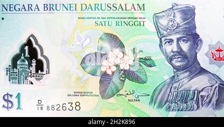 1 banconota da Ringgit/Dollar Polymer, Bank of Brunei Darussalam, closeup Bill Fragment mostra Simpor Bini (Dillenia suffruticosa), Sultan Hassan al-Bolkia Foto Stock