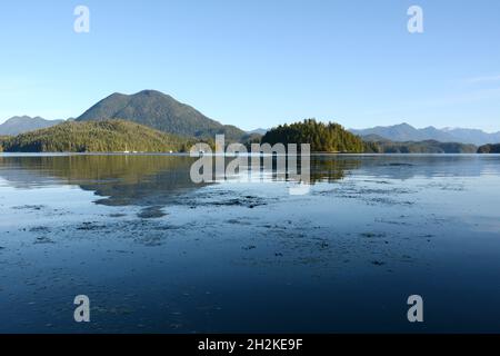Le rive dell'isola di Meares Nuu-chah-nullh territorio di prima nazione, in Clayoquot Sound, vicino Tofino, Vancouver Island, British Columbia, Canada. Foto Stock