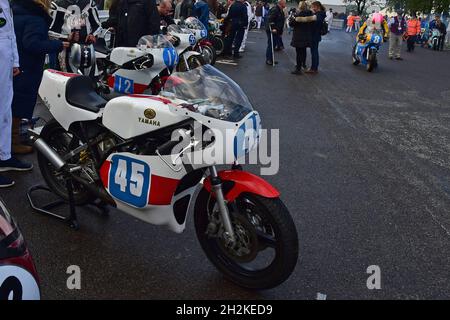 Una linea di moto Yamaha, Hailwood Trophy per moto a due tempi da 250cc e 350cc, Shene Trophy per moto di Formula 750, Grand Prix Motorcycles che gareggia Foto Stock