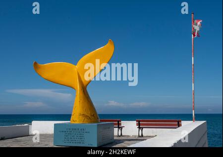 Il monumento commemorativo delle balene del piccolo porto di Guéthary sulla costa atlantica basca ricorda la sua storia di caccia alle balene e rende i visitatori consapevoli della loro paura Foto Stock