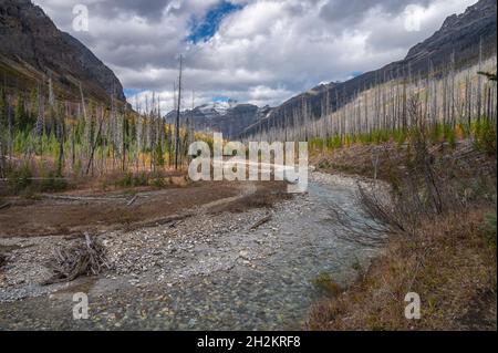 Vista autunnale di Tokuum Creek nel Parco Nazionale di Kootenay, Alberta, Canada Foto Stock