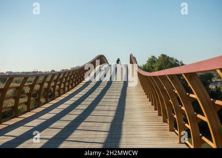 Passerella in legno, passerella ponte, alla riserva naturale di Guadalhorce, che collega le spiagge della Costa del Sol, Malaga, Andalusia, Spagna. Foto Stock