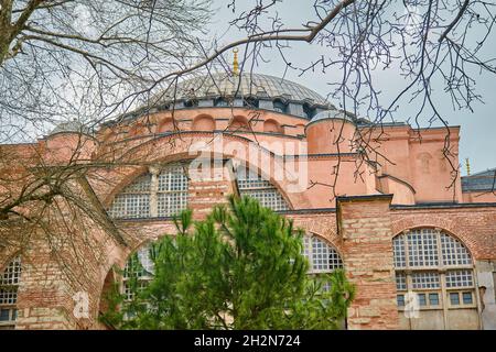 Facciata di antico edificio fatto di mattoni rossi e si trova dietro i rami appassiti di albero e pino verde. Foto Stock