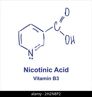 Vitamina B3. Un acido nicotinico. Niacina, vitamina PP. Formula chimica  molecolare. Infografica. Illustrazione vettoriale su sfondo isolato  Immagine e Vettoriale - Alamy