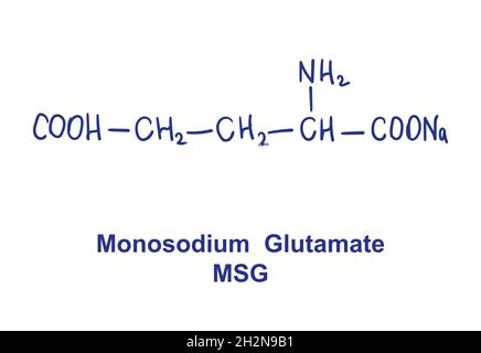 Struttura chimica MSG glutammato monosodico. Illustrazione vettoriale disegnata a mano Illustrazione Vettoriale