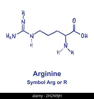 Struttura chimica dell'arginina. Illustrazione vettoriale disegnata a mano Illustrazione Vettoriale