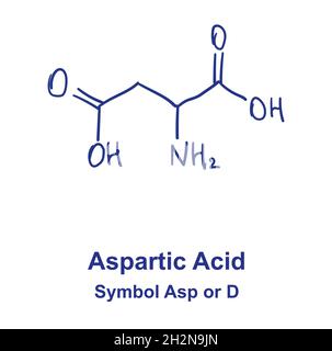 Struttura chimica dell'acido aspartico o dell'aspartato. Illustrazione vettoriale disegnata a mano Illustrazione Vettoriale