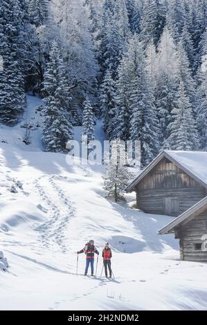 Montagne panoramiche e alme sulla neve durante l'inverno in Salzburger Land, Austria Foto Stock