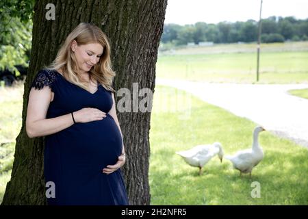 Donne d'affari fiduciose con le armi incrociate in ufficio Foto Stock