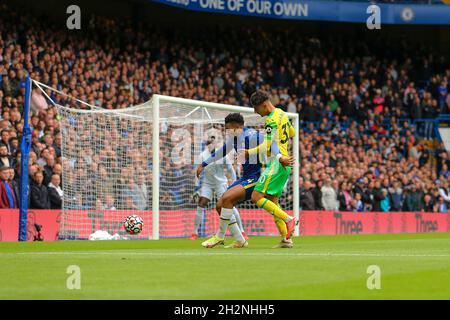 Stamford Bridge, Chelsea, Londra, Regno Unito. 23 ottobre 2021. Premier League Football Chelsea FC Versus Norwich City: REECE James (24) di Chelsea Holding Off Dimitris Giannoulis (30) di Norwich City Credit: Action Plus Sports/Alamy Live News Foto Stock