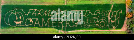 Farmers Feed America Corn Maze in New Jersey. Foto Stock