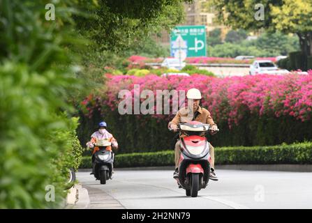 Nanning, la regione autonoma cinese di Guangxi Zhuang. 23 ottobre 2021. I fiori sono visti lungo la strada a Nanning, la regione autonoma di Guangxi Zhuang della Cina meridionale, 23 ottobre 2021. Credit: LU Boan/Xinhua/Alamy Live News Foto Stock