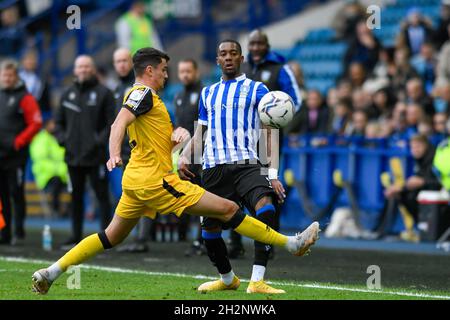 Sheffield, Regno Unito. 23 ottobre 2021. Jaden Brown #3 di Sheffield Mercoledì libera la palla a Sheffield, Regno Unito il 10/23/2021. (Foto di Simon Whitehead/News Images/Sipa USA) Credit: Sipa USA/Alamy Live News Foto Stock