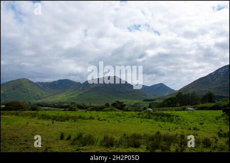 Una selezione di immagini scattate nella regione di Connemara della Contea di Galway, paesaggi d'Irlanda e la Wild Atlantic Way. Foto Stock