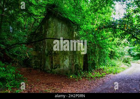 Una selezione di immagini scattate nella regione di Connemara della Contea di Galway, paesaggi d'Irlanda e la Wild Atlantic Way. Foto Stock