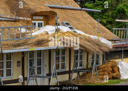 Tipica casa danese gialla. Tradizionale riparazione e costruzione del tetto con paglia e legno. Danimarca, Europa Foto Stock