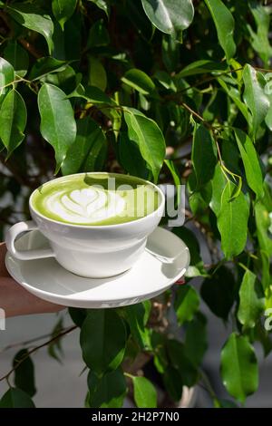 Tazza di latte matcha. Foto di alta qualità. Matcha, latte di tè verde in una tazza. Sfondo verde delle foglie. Primo piano. Vista dall'alto. Foto Stock