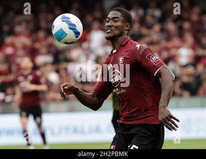 Stadio Arechi, Salerno, Italia. 23 ottobre 2021. Serie A Football, Salernitana versus Empoli : Carmine Iannone di Salernitana Credit: Action Plus Sports/Alamy Live News Foto Stock