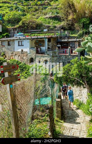 ITALIA, LIGURIE, PARCO NAZIONALE DELLE CINQUE TERRE PATRIMONIO DELL'UMANITÀ DELL'UNESCO, VERNAZZA Foto Stock