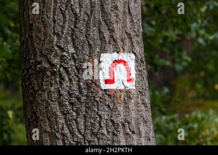 Insegna grotta dipinta su tronco d'albero nella foresta, Sopron, Dudlesz-erdo, Ungheria Foto Stock