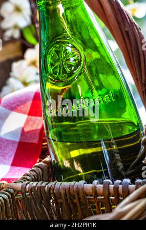 Picpoul de Pinet vino bianco secco Languedoc in cesto di bottiglie in vimini rustico su terrazza soleggiata al fresco giardino Languedoc Francia Foto Stock