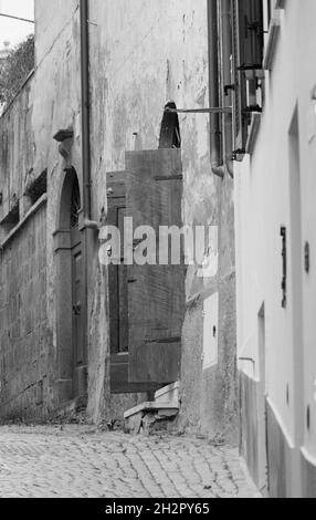 Case a Orvieto in bianco e nero Foto Stock