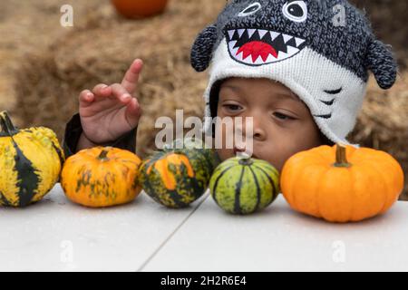 Detroit, Michigan, Stati Uniti. 23 ottobre 2021. Un pre-Halloween ottobre Fest nel quartiere Morningside ha offerto pittura di zucca e altre attività per i bambini. Credit: Jim West/Alamy Live News Foto Stock