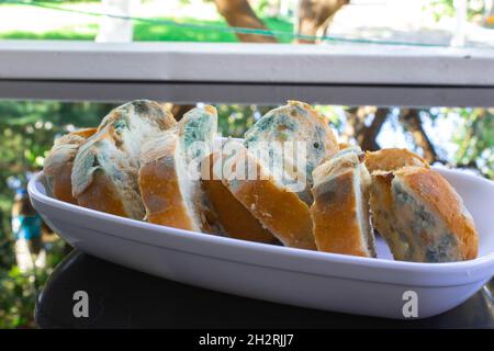 Fette di pane stampate in un piatto di ceramica bianca. Cibo stantio e sprecato Foto Stock