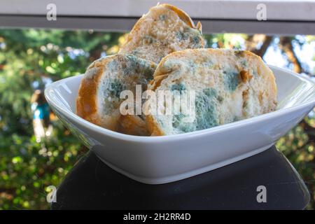 Fette di pane stampate in un piatto di ceramica bianca. Cibo stantio e sprecato Foto Stock