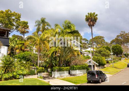 Giardini tropicali di palme e case distaccate nel sobborgo di Sydney di Clareville, nuovo Galles del Sud, Australia Foto Stock