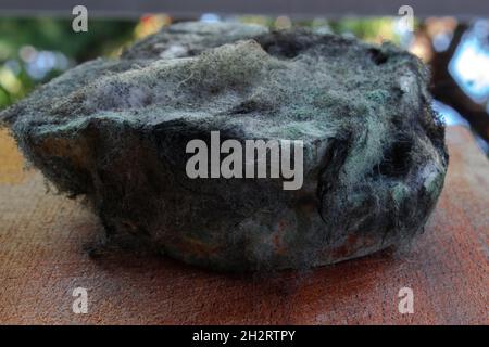 Pane stampato su un tavolo nero lucido. Foto Stock