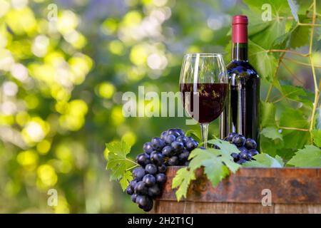bottiglia e bicchiere di vino rosso in botte di legno in giardino Foto Stock