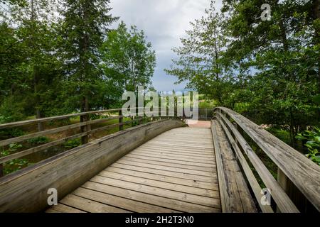 Promenade, Sentiers, activités au Lac des Sapins, Cublize Foto Stock