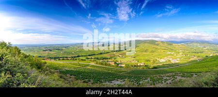 Vue panoramique sur les vignes autour du Mont Brouilly par un matin ensoleillé. Beaujolais, Francia Foto Stock