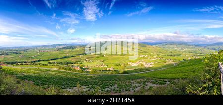 Vue panoramique sur les vignes autour du Mont Brouilly par un matin ensoleillé. Beaujolais, Francia Foto Stock