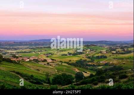 After the sunset, vineyards of Beaujolais, France Stock Photo