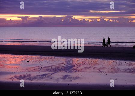Passeggiate con i cani sulla spiaggia Foto Stock