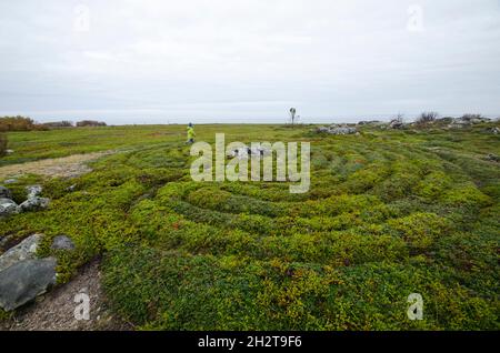 Labirinto di pietra su Solovki. Russia, Regione di Arkhangelsk, Isola di Bolshoi Zayatsky Foto Stock