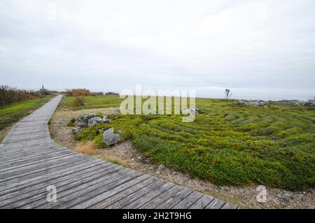 Labirinto di pietra su Solovki. Russia, Regione di Arkhangelsk, Isola di Bolshoi Zayatsky Foto Stock