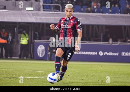 Nicolas Dominguez (Bologna) Durante la partita italiana 'srie A' tra Bologna 2-4 Milano allo Stadio Renato Dall Ara il 23 ottobre 2021 a Bologna. (Foto di Maurizio Borsari/AFLO) Foto Stock