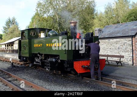 Grande locomotiva a vapore occidentale costruita negli anni '20 presso la stazione ferroviaria di Devils Bridge vale of Rhidol Railway Pontarfynach Ceredigion Galles Cymru UK Foto Stock