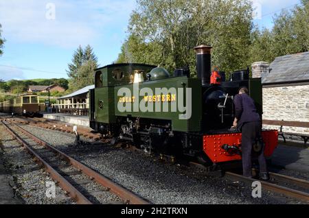 Grande locomotiva a vapore occidentale costruita negli anni '20 presso la stazione ferroviaria di Devils Bridge vale of Rhidol Railway Pontarfynach Ceredigion Galles Cymru UK Foto Stock