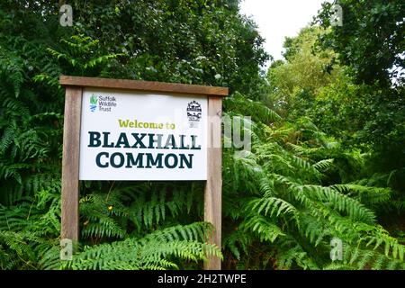 Blaxhall Common Nature Reserve, Suffolk, Inghilterra, Regno Unito Foto Stock