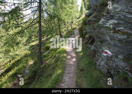 paesaggio sul sentiero escursionistico grächen - saaf fee, nel cantone del vallese in svizzera. Il percorso offre una vista fantastica. (Höhenweg Grächen - Saas- Foto Stock
