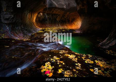 La luce del sole che rimbalza in ghiacciata alla parete della metropolitana in autunno, il Parco Nazionale di Zion Foto Stock