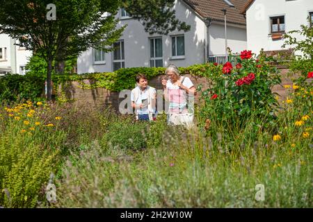 Duftgarten, Holzminden, Niedersachsen, Germania Foto Stock