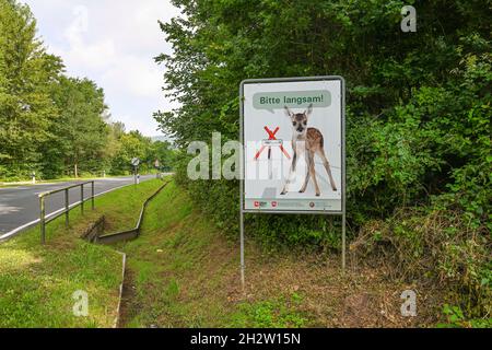 Warnschild Wildwechsel, Rehkitz, langsam, Niedersachsen, Germania Foto Stock