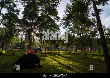 Poso, Sulawesi centrale, Indonesia. 24 ottobre 2021. Lore Lindu National Park Hall ha riaperto l'area turistica naturale del lago Tambing a Sedoa Village, Poso Regency, Sulawesi Centrale. L'area, designata dall'UNESCO come Sito Patrimonio Mondiale dell'Umanita', e' stata precedentemente completamente chiusa dal Novembre 2020 ai visitatori a causa dell'alto numero di casi di Covid-19 e dell'operazione di forze di sicurezza appartenenti alla task force madago raya che persegue il gruppo terroristico mujahideen ad est dell'Indonesia. (Credit Image: © Adi PranataZUMA Wire) Foto Stock