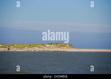 spiaggia con dune di sabbia ricoperte d'erba sull'isola di Norderney con le foche e un relitto arrugginito Foto Stock