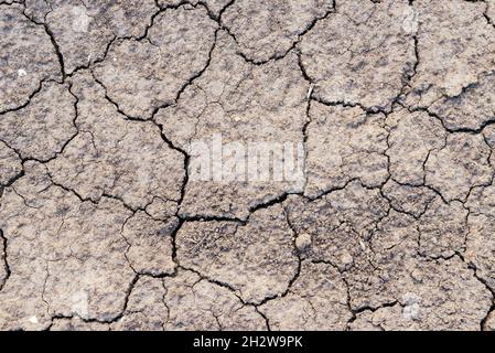 Cracked terra struttura di terreno, rotto e superficie ruvida fango grigio argilla suolo in stagione estiva, cracked terreno su arido siccità ambiente e ho Foto Stock